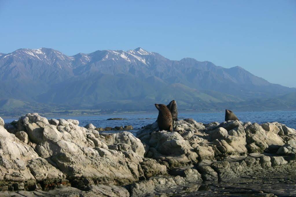 The Point B&B Kaikoura Exterior foto